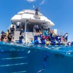 Great Barrier Reef Snorkeling and Diving Cruise from Cairns - The Itinerary & Reef Stops: Whats in Store