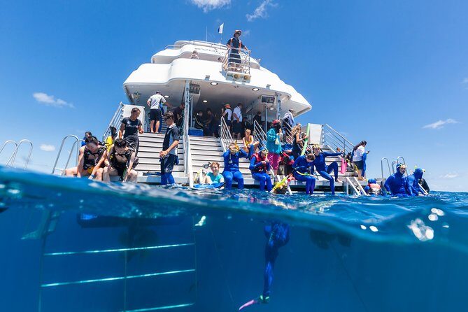 Great Barrier Reef Snorkeling and Diving Cruise from Cairns - The Itinerary & Reef Stops: Whats in Store