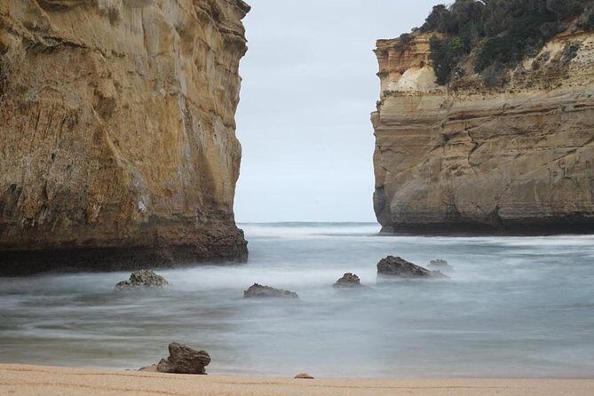 Great Ocean Road 12 Apostles kangaroo, koala and chocolate tour - The Realities of the Tour: Pros and Cons