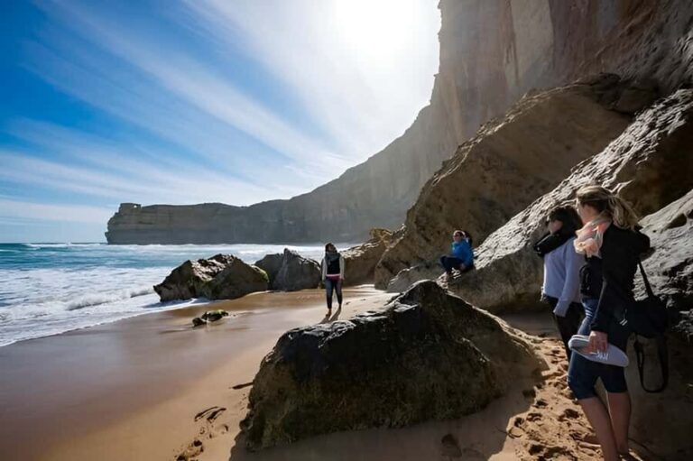 Great Ocean Road and Wildlife Day Tour - Transportation and Group Size