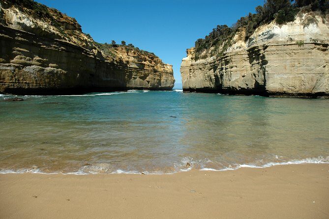 Great Ocean Road Tour Plus Koalas, Forest Walk and Morning Tea - The Experience: What Youll Love