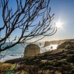 Great Ocean Road Tour with Instagram Sunset views of 12 Apostles - What Makes This Tour Stand Out?