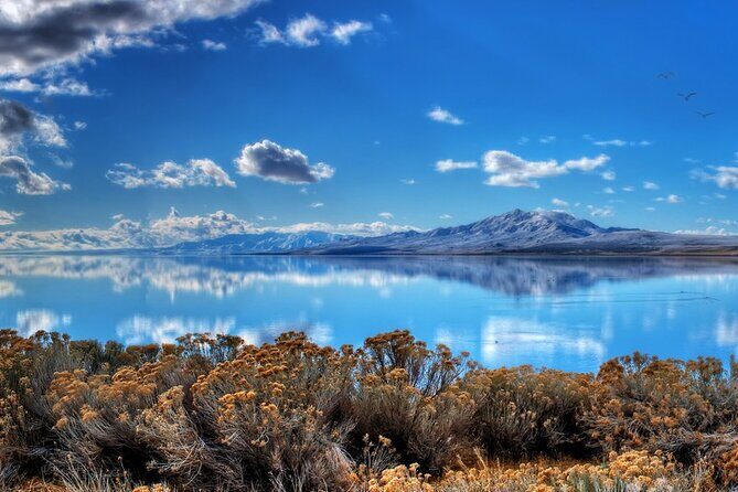 Great Salt Lake and Antelope Island Day Tour - Why It Works Well For Travelers