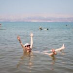 Great Salt Lake Guided Bus Tour from Salt Lake City - Floating and Wildlife