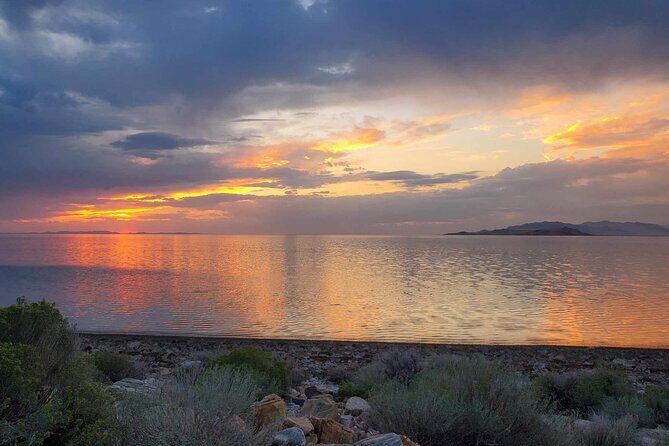Great Salt Lake Safari - Discover Antelope Island - The Personal Touch Makes a Difference
