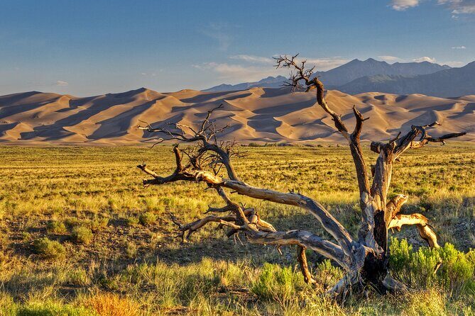 Great Sand Dunes Self Guided National Park Audio Tour - The Experience on the Ground