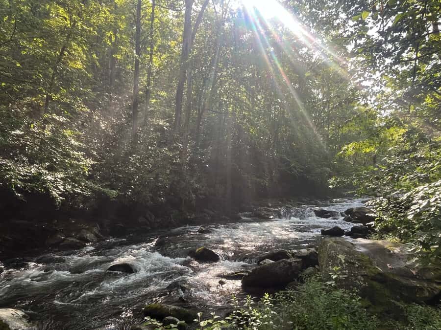 Great Smoky Mountains: Guided Hike & Outdoor Painting Class - Breaking Down the Itinerary