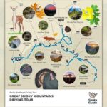 Great Smoky Mountains National Park Self-Guided Audio Tour - The Stops in Detail