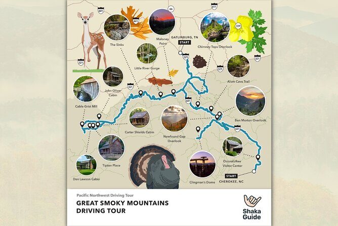 Great Smoky Mountains National Park Self-Guided Audio Tour - The Stops in Detail