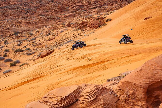 Greater Zion: Women's Only Guided UTV Tour - What Makes This Tour Special?