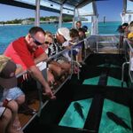 Green Island Half-Day Trip from Cairns - Is it Worth the Price?