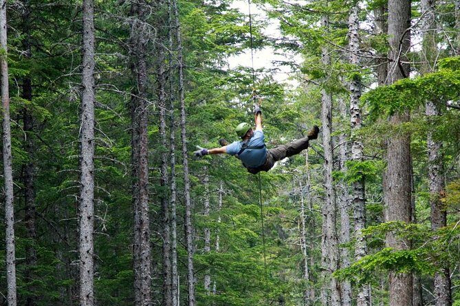 Grizzly Falls Ziplining Expedition - How Does It Compare to Other Tours?