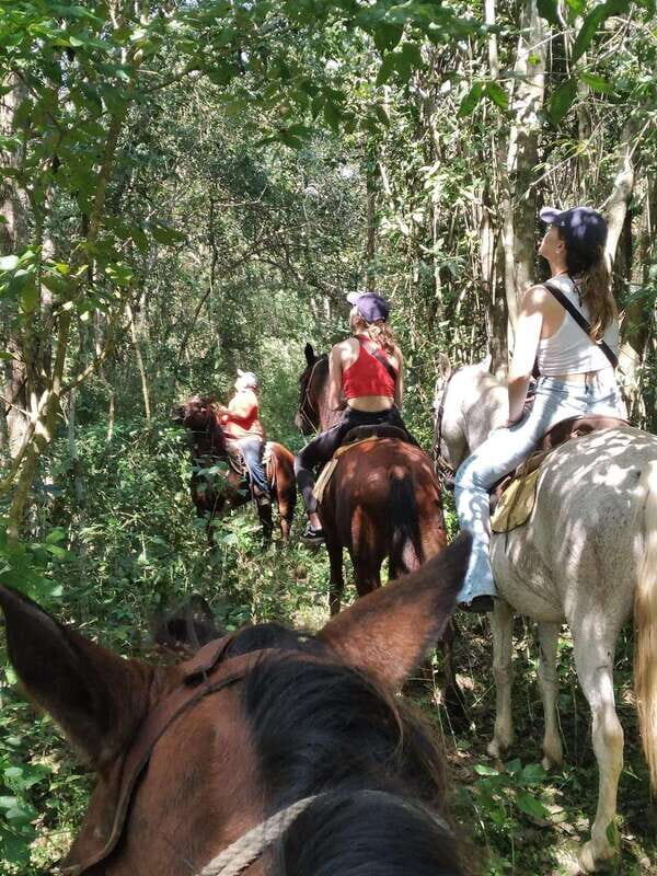 Group horseback ride on Holbox Island, Quintana Roo - Who Will Love This Tour?