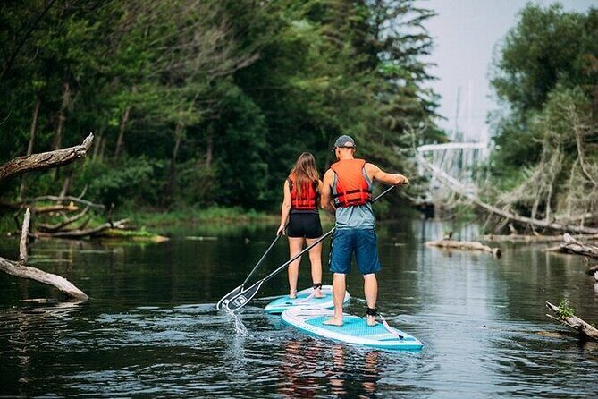 Group Intro to SUP in Toronto Island, Canada - The Group and Pricing