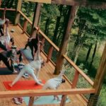Group Reset Yoga and Sound Healing - The Details That Matter