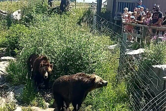 Grouse Hike and Capilano Bridge - The Sum Up