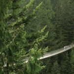 Grouse Mountain & Capilano Bridge Tour with Fish Hatchery - A Deep Dive into the Tour Experience
