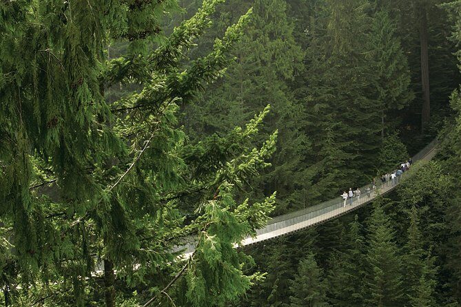 Grouse Mountain & Capilano Bridge Tour with Fish Hatchery - A Deep Dive into the Tour Experience