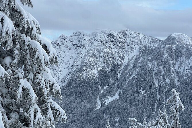 Grouse Mountain Snowshoeing Adventure with Scenic Skyride - The Value and Who It’s For