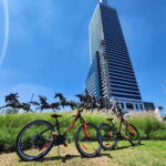 Guadalajara: Bicycle rental per day. - The Sum Up