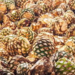 Guadalajara: Lake Chapala and Ajijic Day Trip with Boat Trip - What the Reviews Say