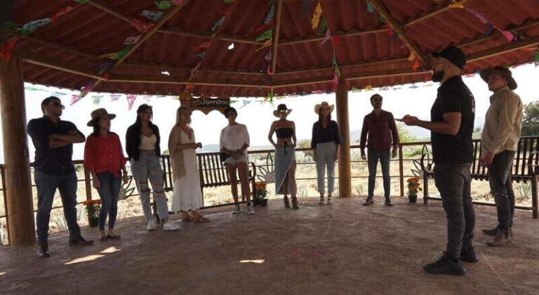 Guadalajara: Premium Tequila Tour with Tastings and Pairings - Who Will Love This Tour?