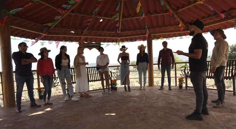 Guadalajara: Premium Tequila Tour with Tastings and Pairings - Who Will Love This Tour?