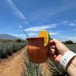 Guadalajara: Tequila Day Trip with Jose Cuervo Option - Is the Price Justified?