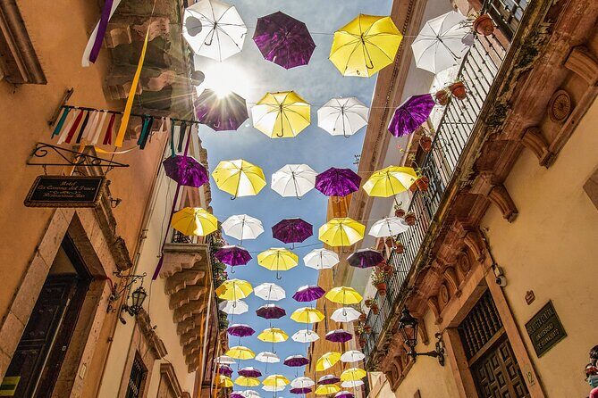 Guadalajara to Guanajuato One-Way Private Transfer - Detailed Look at the Transfer Experience