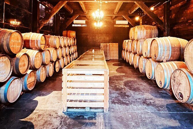 Guadalupe Valley Private Tour The Wine Route - The Experience and What Travelers Say