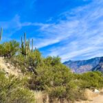 Guided 2 Hour Horseback Ride Catalina State Park Coronado Forest - Scenic Highlights and Photo Opportunities