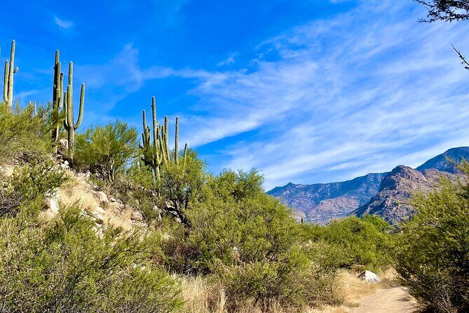 Guided 2 Hour Horseback Ride Catalina State Park Coronado Forest - Scenic Highlights and Photo Opportunities