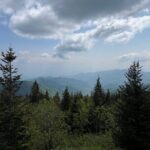 Guided Art Adventure Hikes in Great Smoky Mountains Natl Park - Value and Pricing