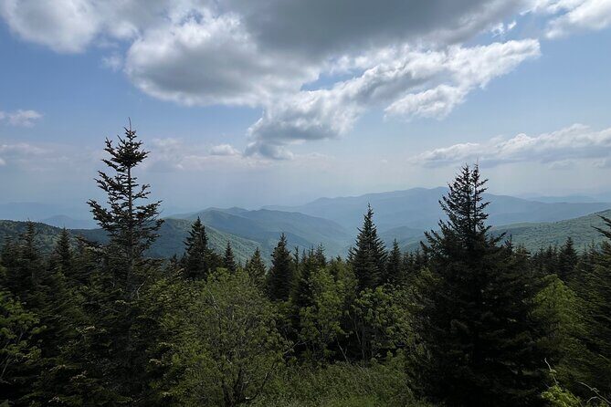 Guided Art Adventure Hikes in Great Smoky Mountains Natl Park - Value and Pricing