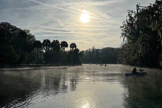 Guided Clear Kayak Tours on the Silver River - The Itinerary in Detail