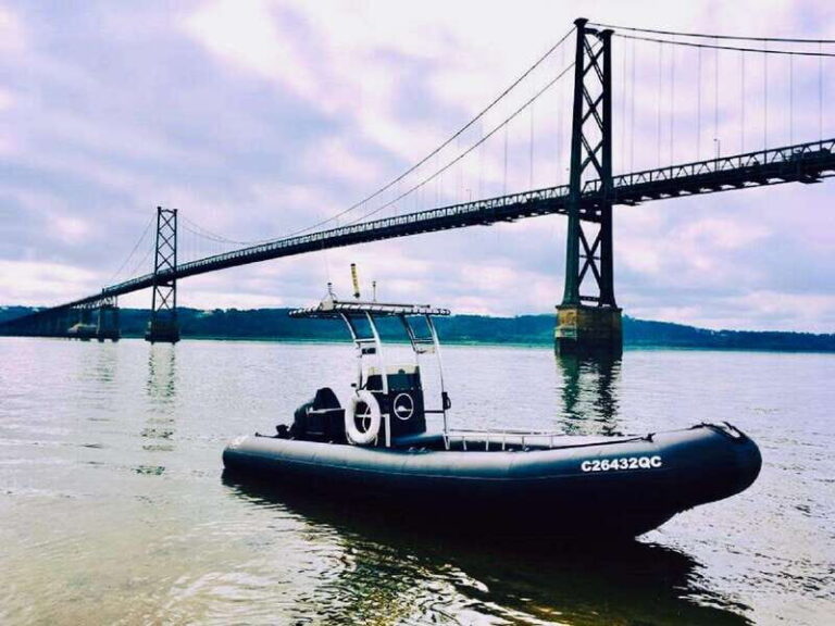 Guided cruise to discover Orleans Island and Quebec City - Why Travelers Love This Experience