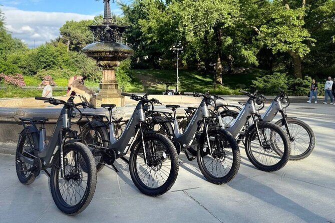 Guided Electric Bike Tour of Central Park in New York City - The Experience in Action