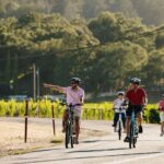 Guided Electric Bike Wine Tour Through Sonoma County - The Bikes and Equipment