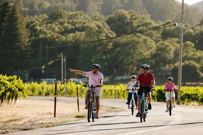 Guided Electric Bike Wine Tour Through Sonoma County - The Bikes and Equipment