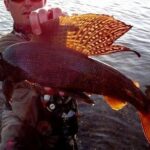 Guided Fishing Excursion in Fairbanks (Full-Day) - A Closer Look at the Experience