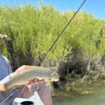Guided Fly Fishing Float Trip | San Juan River - Who This Tour Is Best For