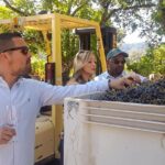 Guided Healdsburg Wine Country Bike and Wine Tasting Tour with lunch - Final Thoughts: Is This Tour Right for You?