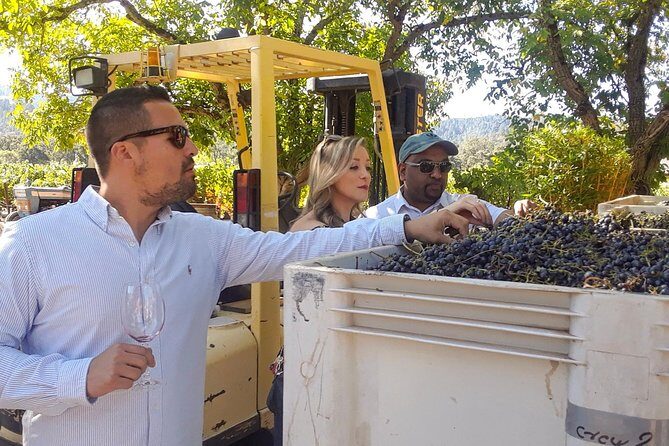 Guided Healdsburg Wine Country Bike and Wine Tasting Tour with lunch - Final Thoughts: Is This Tour Right for You?