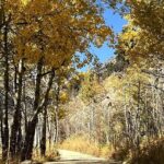 Guided Hike in Rocky Mountain National Park - Who Is This Tour Best For?