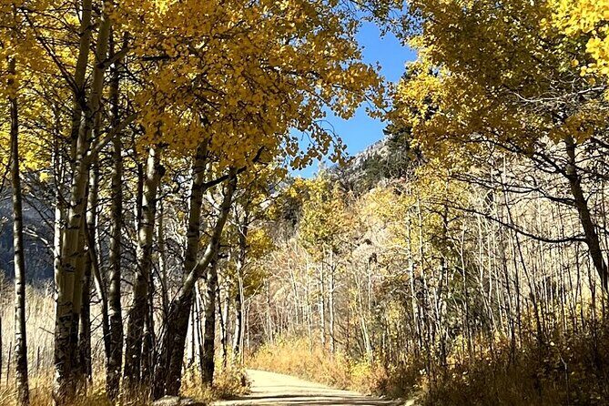 Guided Hike in Rocky Mountain National Park - Who Is This Tour Best For?