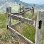 Guided Hiking Adventures in Colorado with Local Treats - An In-Depth Look at What You Can Expect