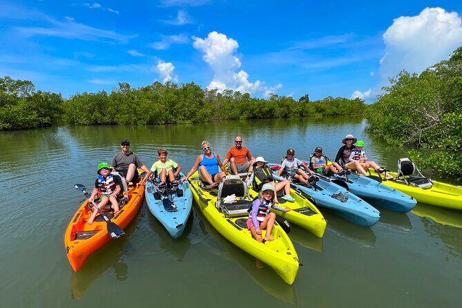 Guided Hobie Kayak EcoTour: Premium Eco Experience Bonita Springs - Final Thoughts: Is It Worth It?