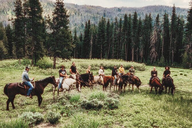 Guided Horseback Trail Rides - Who Will Love This Experience