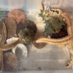 Guided Jet Ski Adventure Tour - What Travelers Are Saying