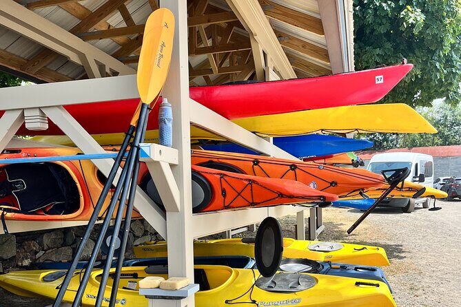 Guided Kayak at the Crane Estate - Who Will Love This Tour?